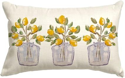 AVOIN colorlife Hello Spring Summer Lemon Throw Pillow Cover, 12 x 20 Inch Summer Holiday Party C... | Amazon (US)