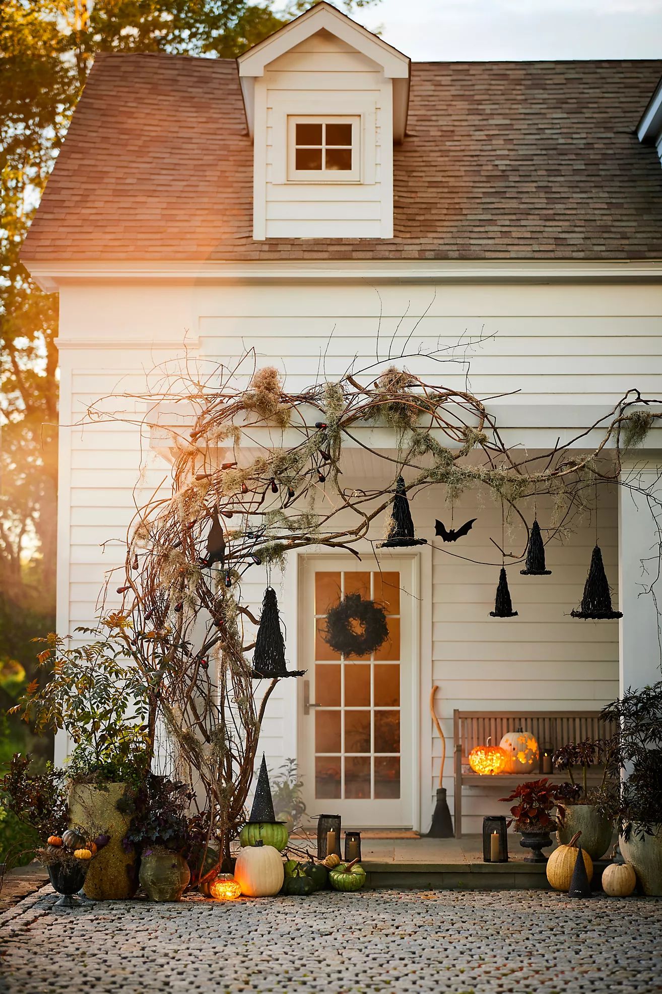 Black Vine Witch Hat | Anthropologie (US)