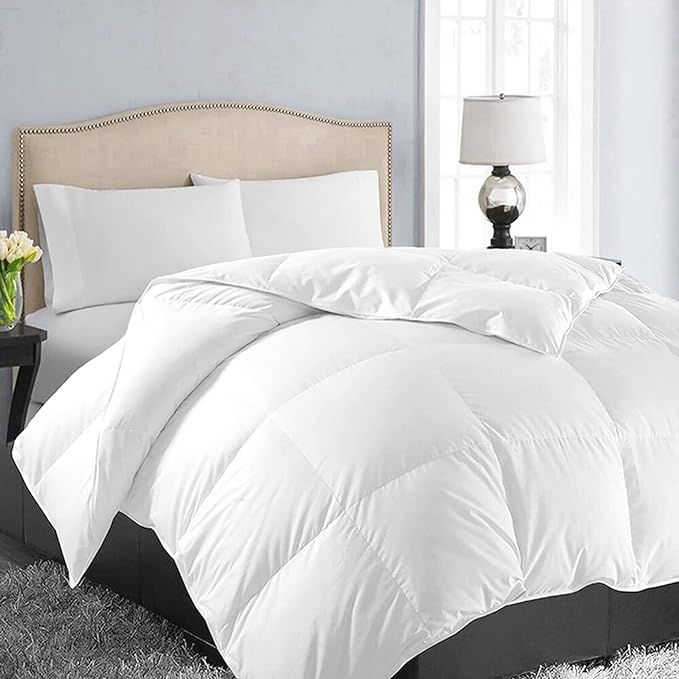 EASELAND All Season Queen Size Soft Quilted Down Alternative Comforter Reversible Duvet Insert wi... | Amazon (US)
