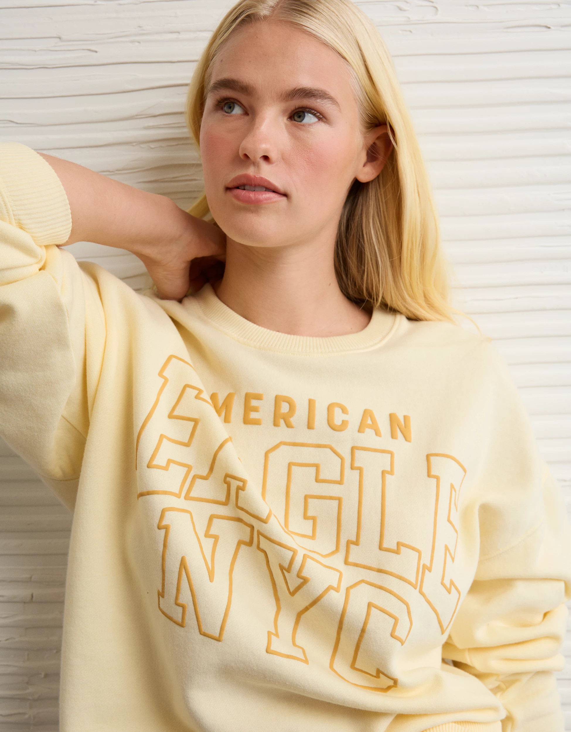 AE Funday Crew Neck Sweatshirt | American Eagle Outfitters (US & CA)