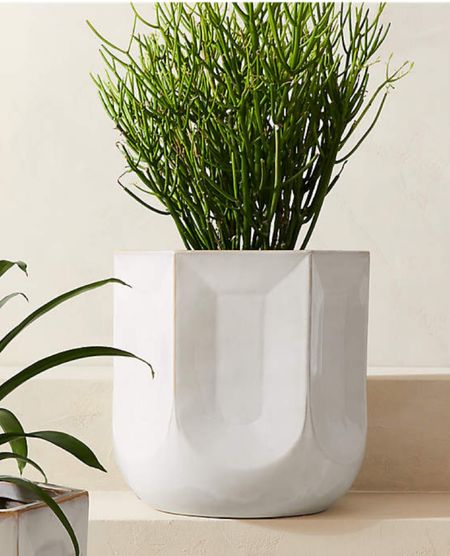 FINCA HEXAGONAL WHITE GLAZED INDOOR/OUTDOOR PLANTER LARGE

Ceramic planter pairs a refined shape with a rich, debossed texture. Featuring subtle variations in the white glaze, the durable pot can be used outdoors or indoors.

#LTKStyleTip #LTKHome #LTKSeasonal
