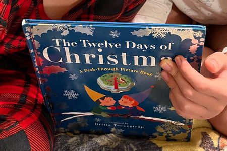 12 days of Christmas book
Bookmas
Kids books
Amazon
Target
Holiday
Gift ideaas

#LTKkids #LTKHoliday #LTKGiftGuide
