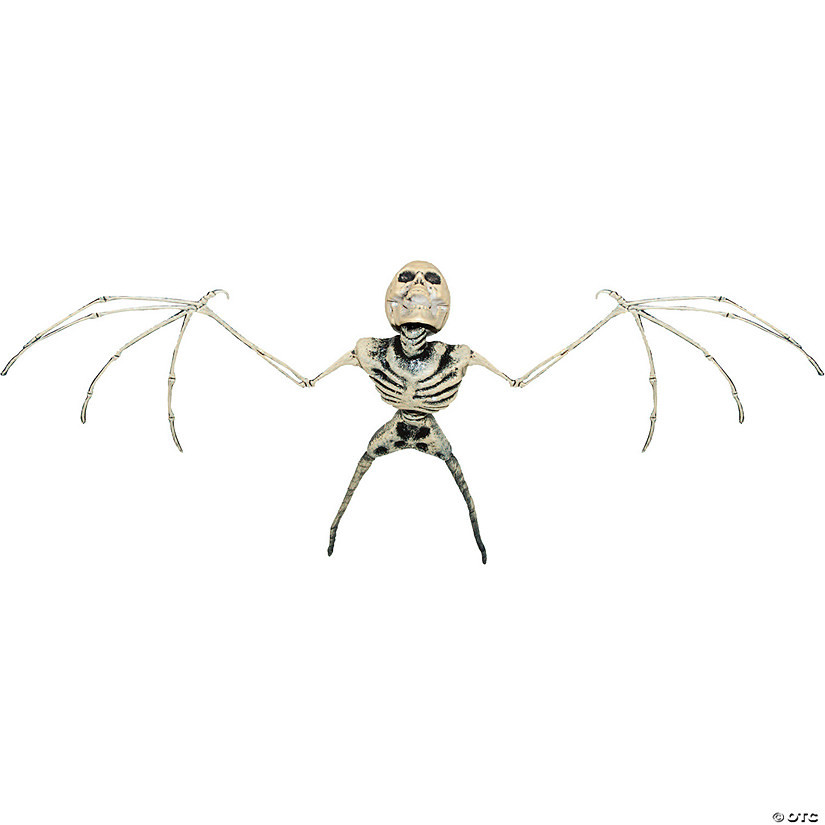 Bat Skeleton | Oriental Trading Company