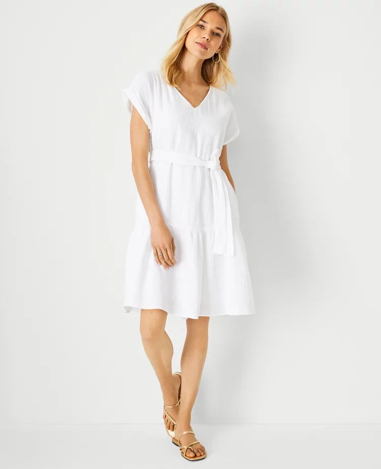 Gauze Pocket Flare Dress | Ann Taylor (US)