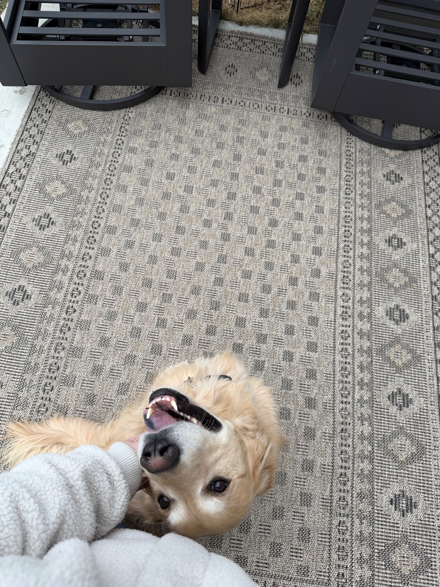 Prettiest outdoor rug!! 

#LTKSeasonal #LTKspringtrends