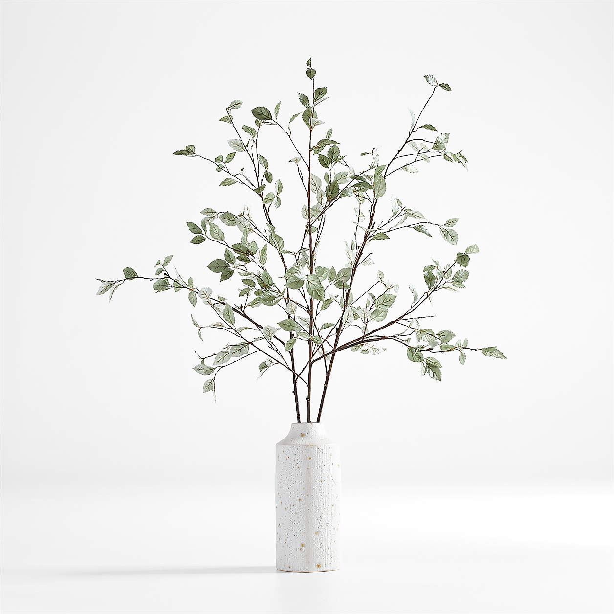 Faux Sage Green Leaf Branch 66" + Reviews | Crate & Barrel | Crate & Barrel