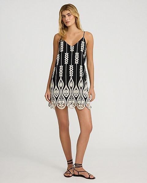 Embroidered V-Neck Sleeveless Mini Shift Dress | Express
