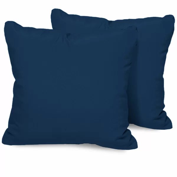 Azareeyah Indoor/Outdoor Pillow Insert | Wayfair North America