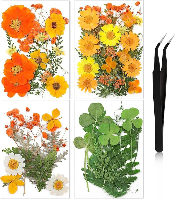 Nuanchu Pressed Flowers Bulk Dried Flower for Crafts, Dried Flower Leave Natural with Tweezer for... | Amazon (US)