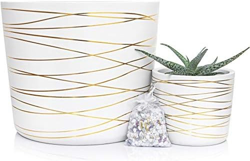 Gold Stripes Ceramic Pot Bundle - 12 Inch Large Planter and 6 Inch Medium Planter - Decorative Pe... | Amazon (US)