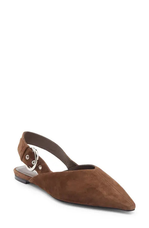 Jeffrey Campbell Scone Slingback Pointed Toe Flat in Espresso Suede at Nordstrom, Size 9.5 | Nordstrom