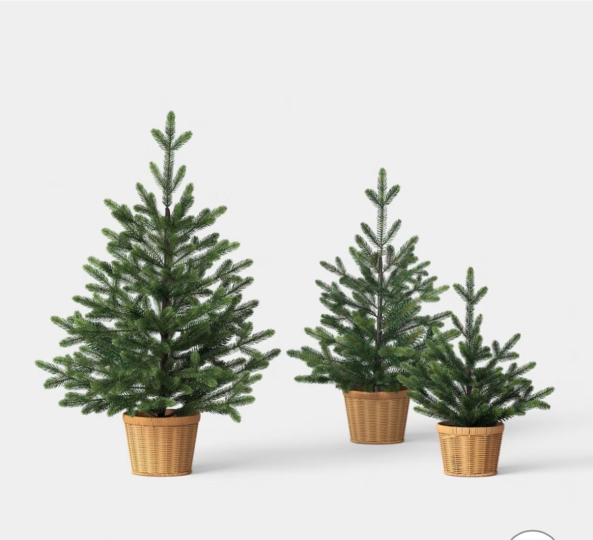 Balsam fir Christmas trees in 3 sizes available for shipping from Threshold at Target! Shop soon for your holiday, Christmas home!