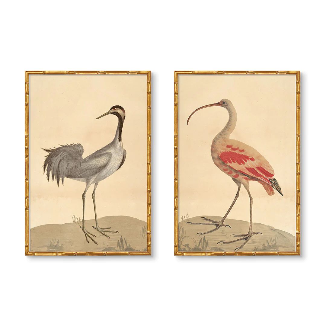 Midsummer Marsh Birds Pair | Urban Garden Prints