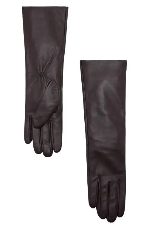 MANGO Long Leather Gloves in Chocolate at Nordstrom, Size Small | Nordstrom