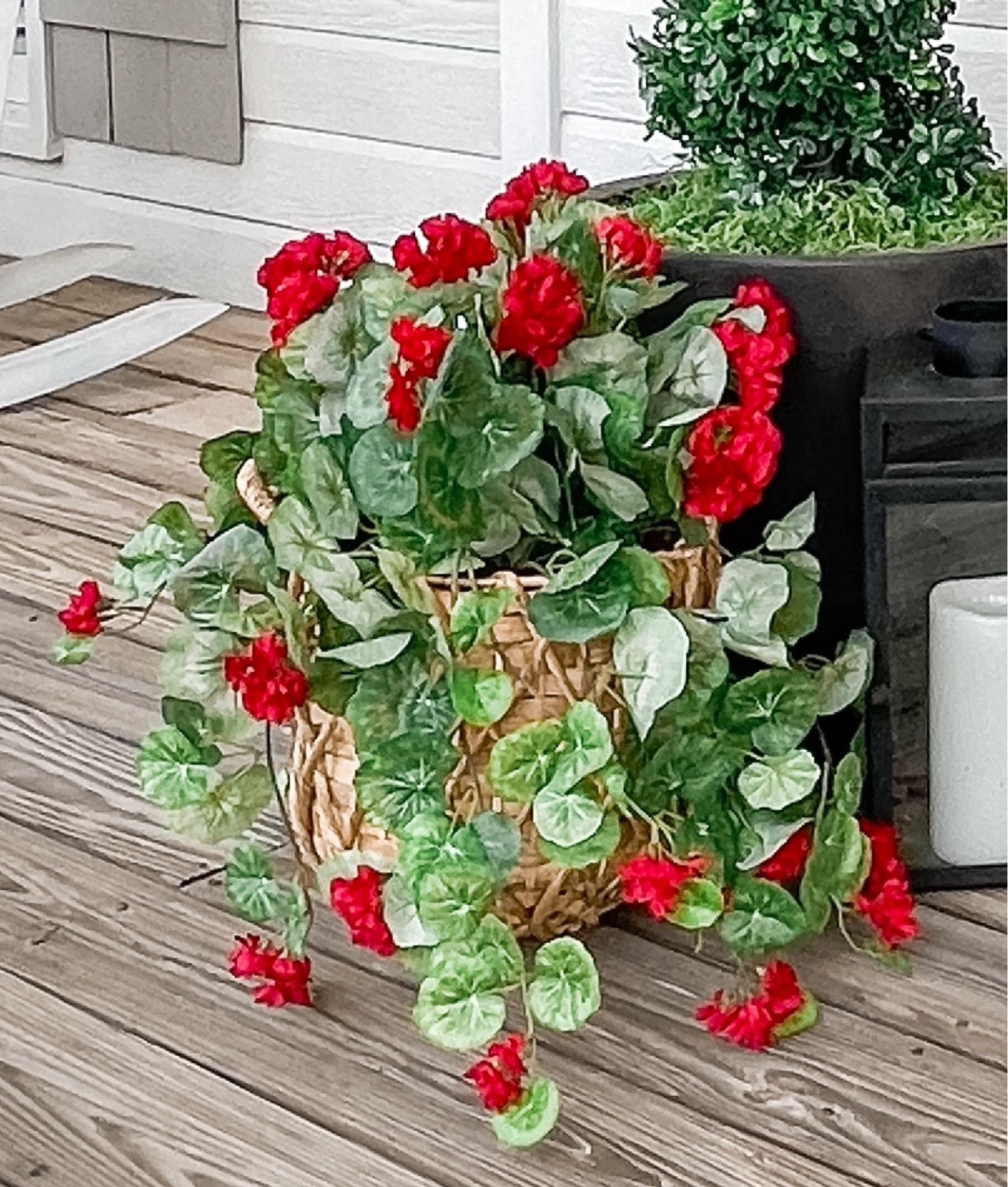 My geranium baskets:

I used a basket planter, foam
Round, a rock from my yard for a weight and a set of 2 stems per basket then added some moss at the top of foam
Round.


#LTKSeasonal #LTKhome #LTKfindsunder50
