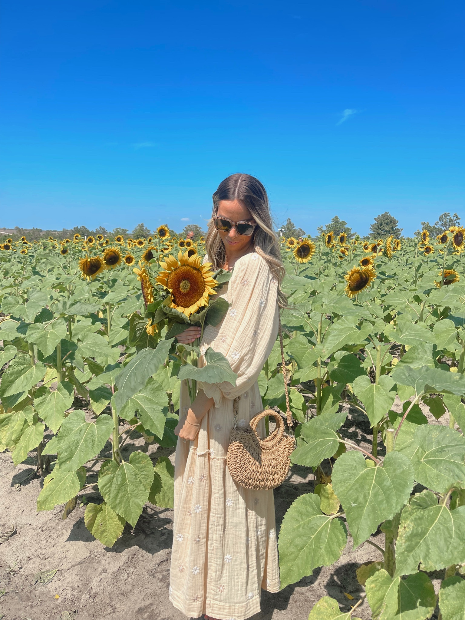 Sunflower field outfit🌻 spring dress, spring outfit ideas, spring outfit inspo, sunflower field, puff sleeve maxi dress, puff sleeve dress, yellow dress, floral dress, free people dress, Dahlia Embroidered Maxi Dress, Amazon sunglasses, Amazon rattan crossbody bag

#LTKFestival #LTKSeasonal #LTKsalealert