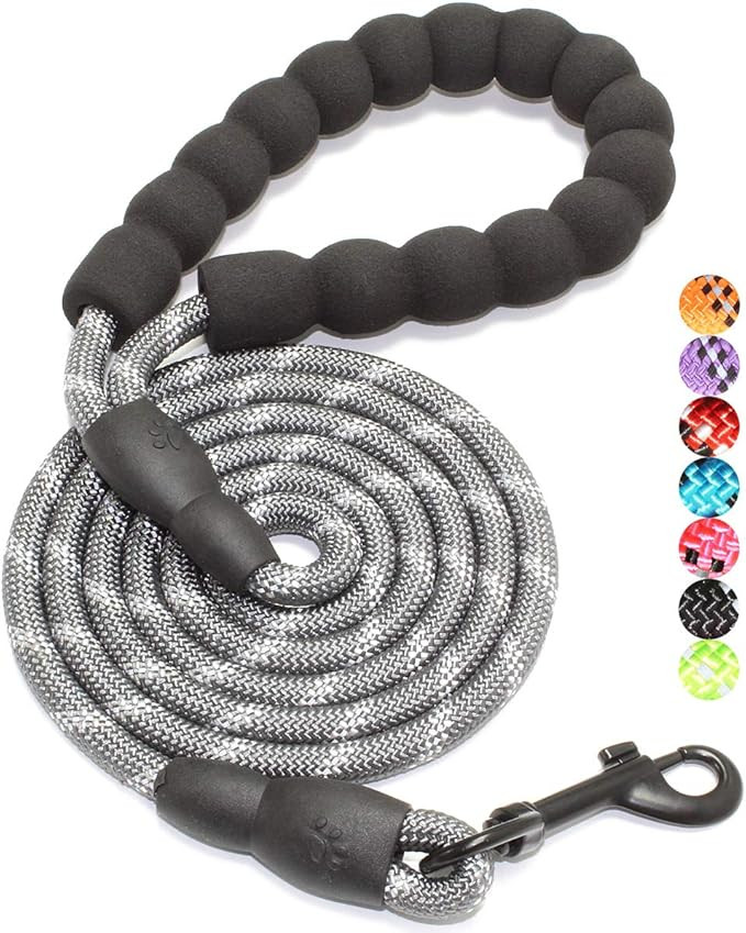BAAPET 2/4/5/6 FT Dog Leash with Comfortable Padded Handle and Highly Reflective Threads for Smal... | Amazon (US)