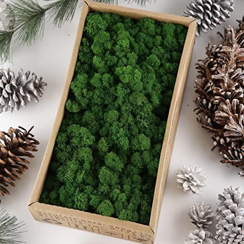 Pine green | Amazon (US)