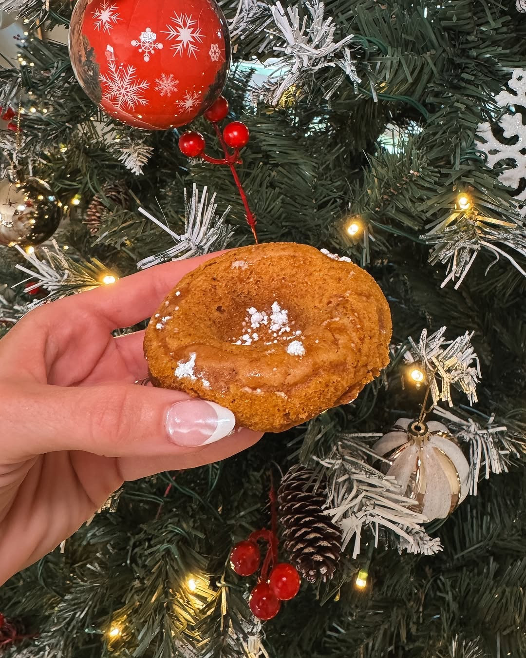 high protein, pumpkin donuts! 🍩🎄

ingredients 
1 container silken tofu
15 oz pumpkin 
1 tbsp coconut oil 
1/2 cup brown sugar 
1/2 cup flour 
1 tbsp pumpkin spice 
1 tsp baking soda
1 tsp baking powder 
1 tsp vanilla extract 
powdered sugar for sprinkling on top 

directions 
1: add all ingredients except for powdered sugar to bowl & mix.
2: pour into greased donut (or muffin) trays & bake for 13-16 minutes at 350 degrees. 
3: let cool, then remove from pan and dust with powdered sugar. 
4: enjoy! 😊 

#LTKHoliday #LTKSeasonal #LTKHome