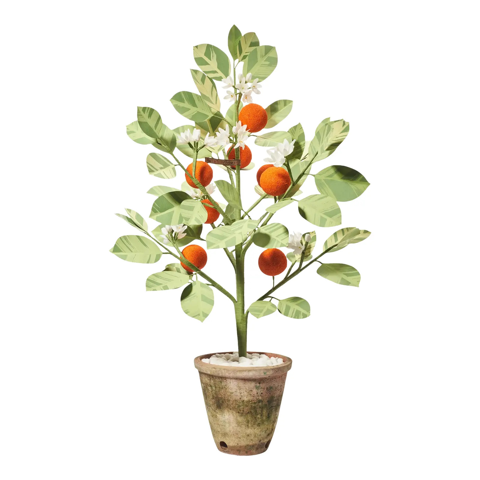 The Green Vase x Chairish Citrus Tree | Chairish