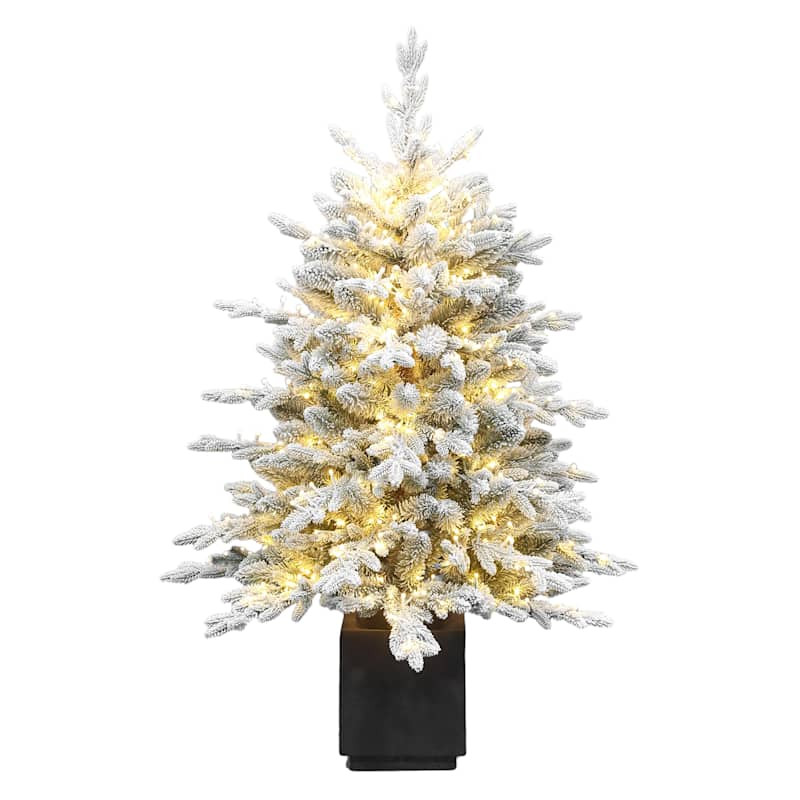 (A2) Pre-Lit Flocked Bradley Spruce Porch Tree, 4' | At Home