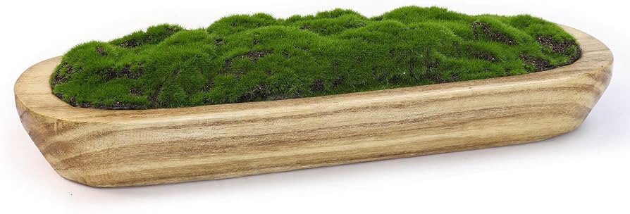 Moss Wood Bowl, Artificial Moss Natural Bowl Centerpiece for Wedding Table, Home Decoration, Livi... | Amazon (US)