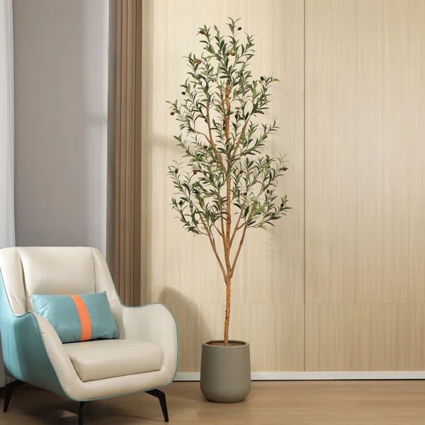 Adcock Faux Olive Tree in Pot | Wayfair North America