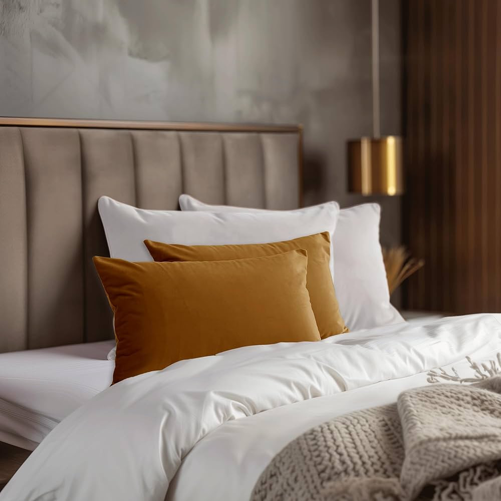 StangH Decorative Velvet Lumbar Pillow Covers,Pack of 2 Luxury Decor Cushion Cases for Living Roo... | Amazon (US)