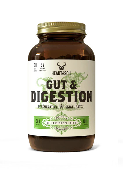 Gut & Digestion — Heart & Soil | Heart & Soil