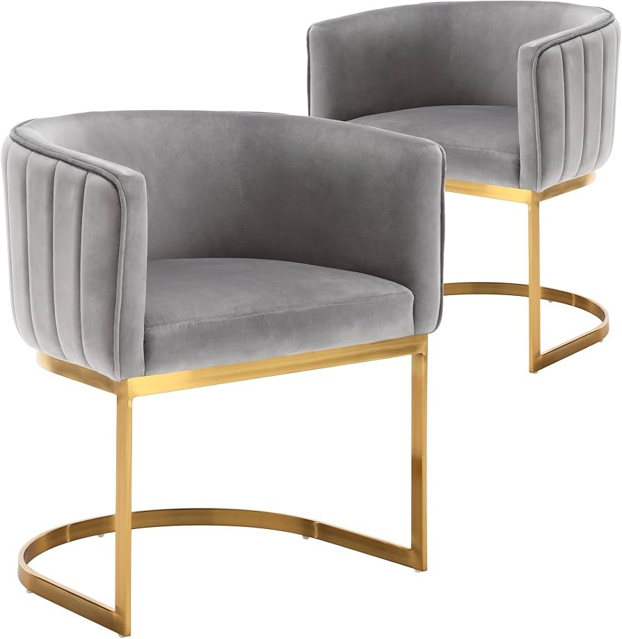 chairus Velvet Dining Chairs Modern Kitchen Chairs with Golden Frame Upholstered Cushion for Livi... | Amazon (US)