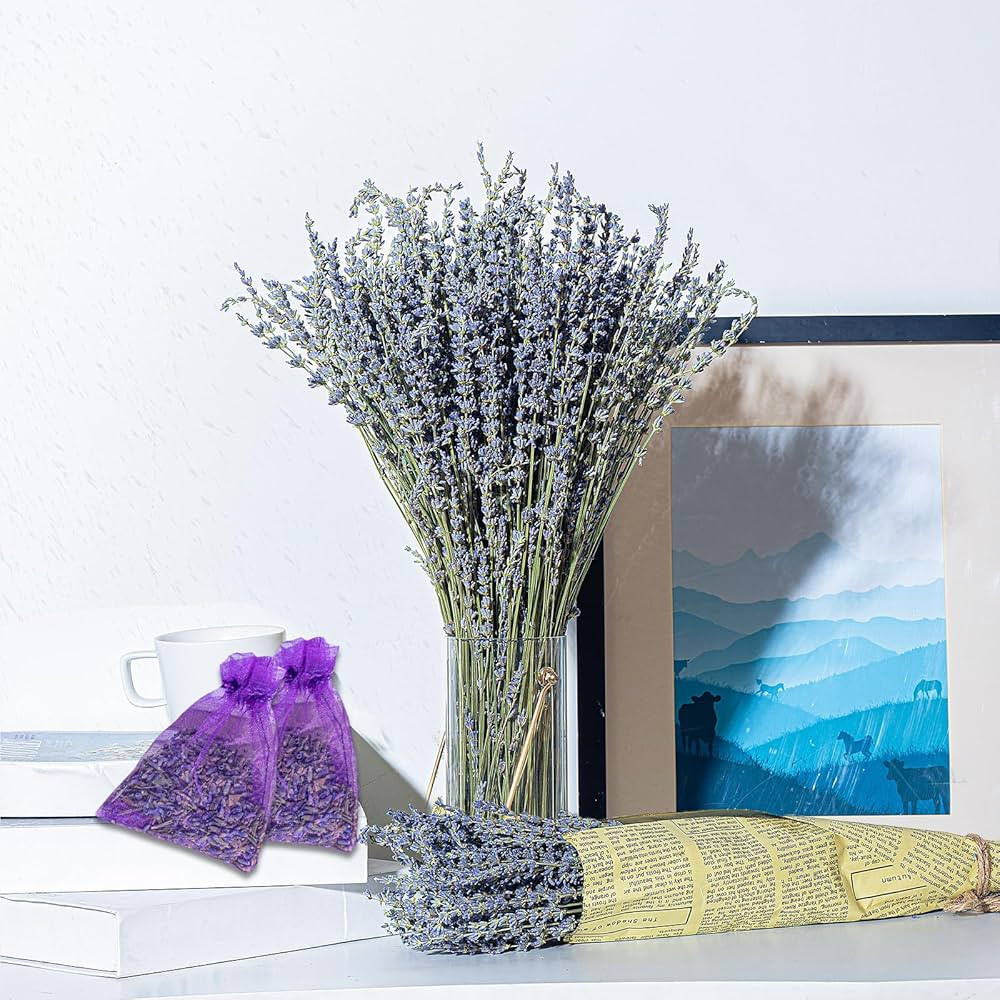 Bnecnet 17" 4.8oz Dried Lavender Bundle & Sachets - 2 Bunches of Natural Dried Lavender Flowers &... | Amazon (US)