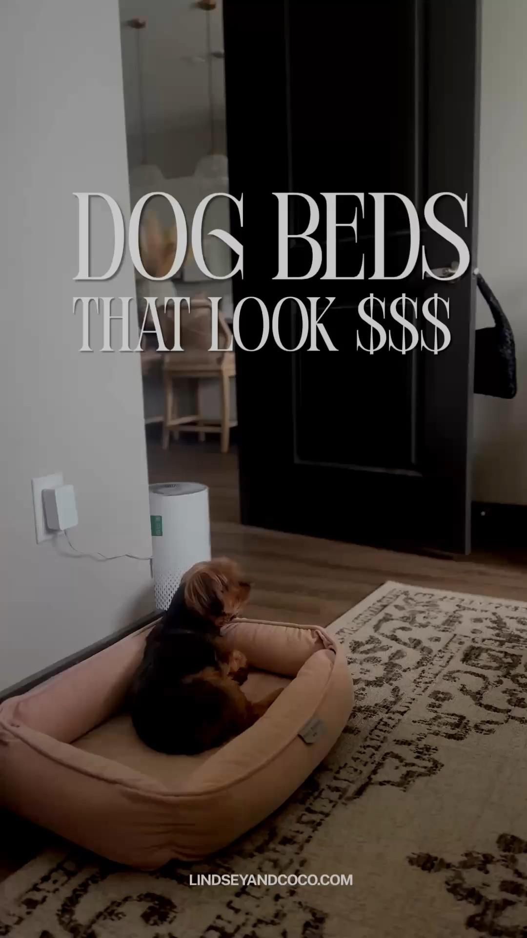 Posh Pet Beds That Look Expensive. 

Save 15% at Maxbone.com with code LINDSEYANDCOCO

Scroll to shop.

#LTKmomlife #LTKHome #LTKMothersDay