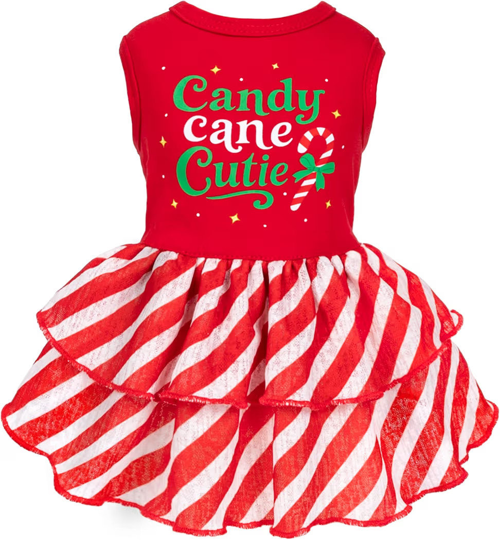 Fitwarm Candy Cane Cutie Dog Tiered Dress, Christmas Outfit for Small Dogs Girl, Funny Holiday Pe... | Amazon (US)