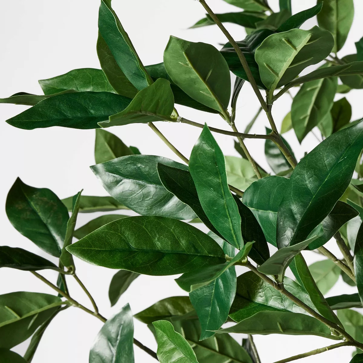 Bay Leaf Tree in Basket - Threshold™ designed with Studio McGee | Target