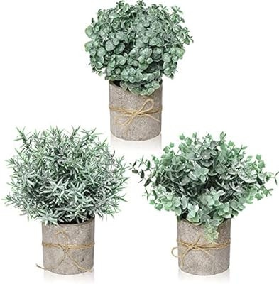 Farmhouse Decor for The Home, Farmhouse Bathroom Decorations - Modern Farmhouse Decorations for F... | Amazon (CA)