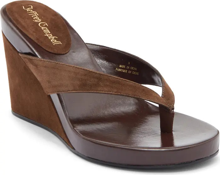 Liezel Platform Wedge Flip Flop (Women) | Nordstrom