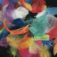 Abstraction de plumes II (Feathers' abstraction II) Painting
