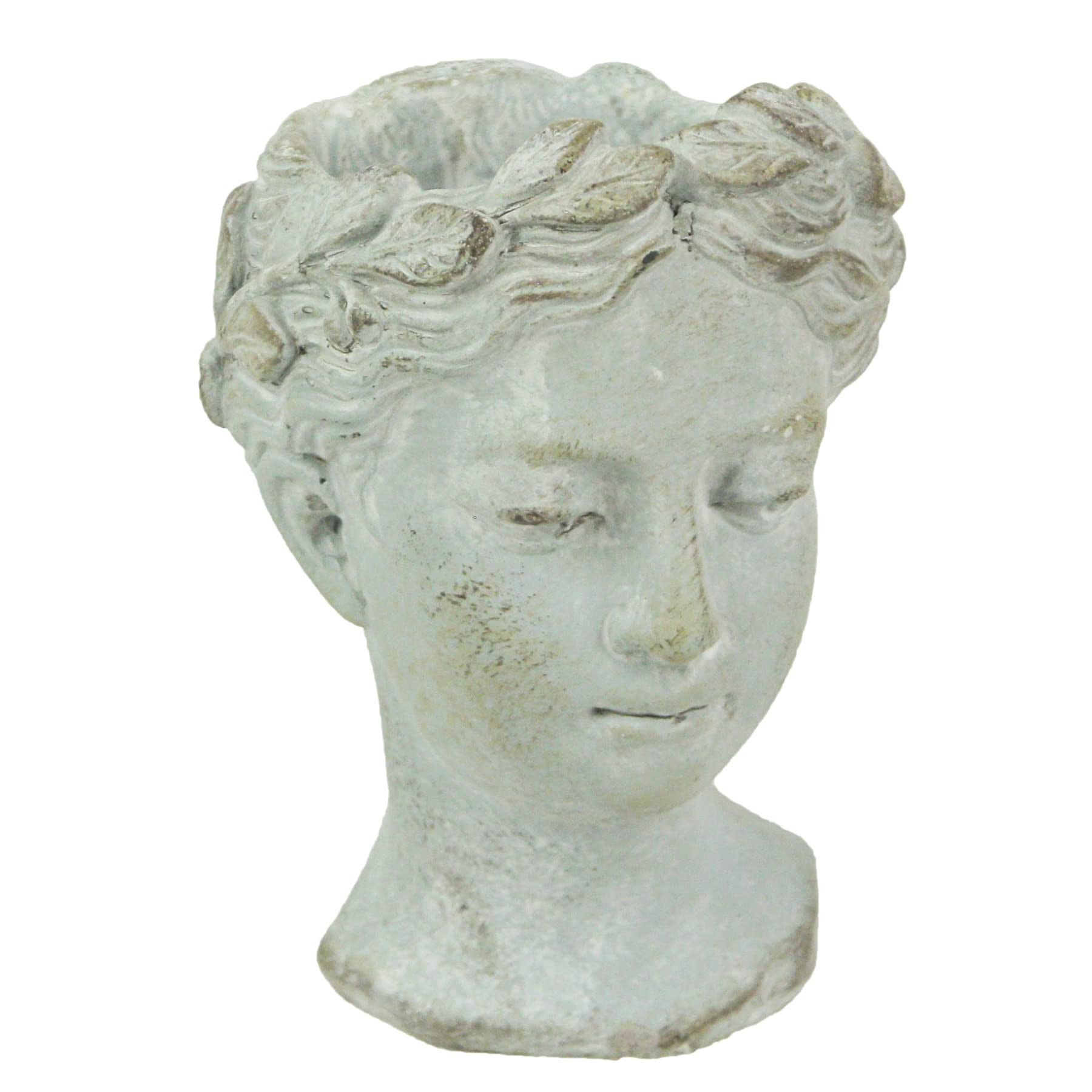 Distinctive Designs Wall Mounted Greek Roman Style Female Head Statue Planter - Small Cement Plan... | Amazon (US)