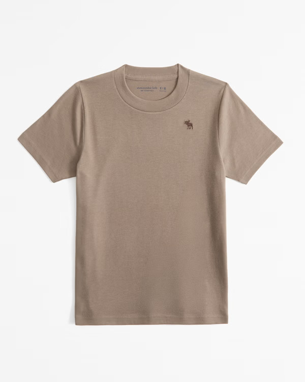 essential icon crew tee | Abercrombie & Fitch (US)