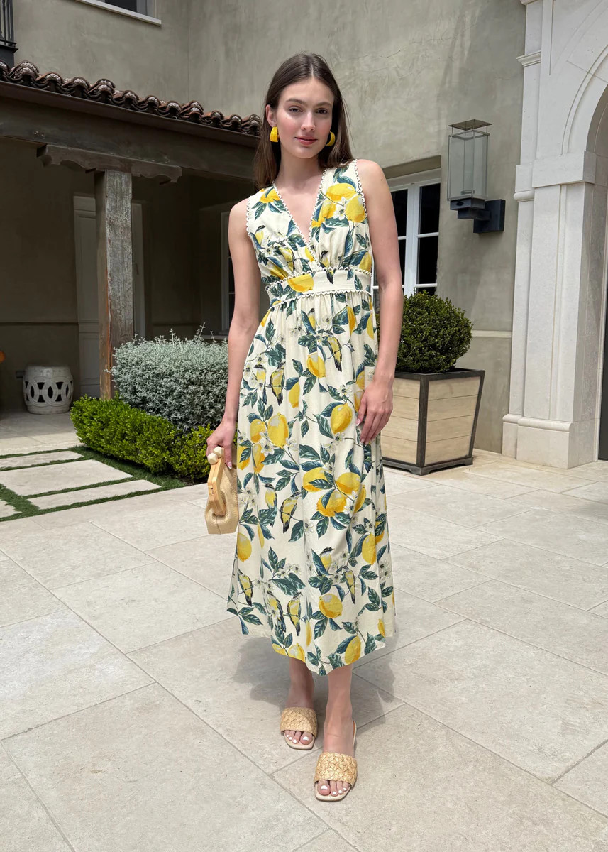 Emilia Lemon Garden Print Midi-Maxi Dress | Benaar La
