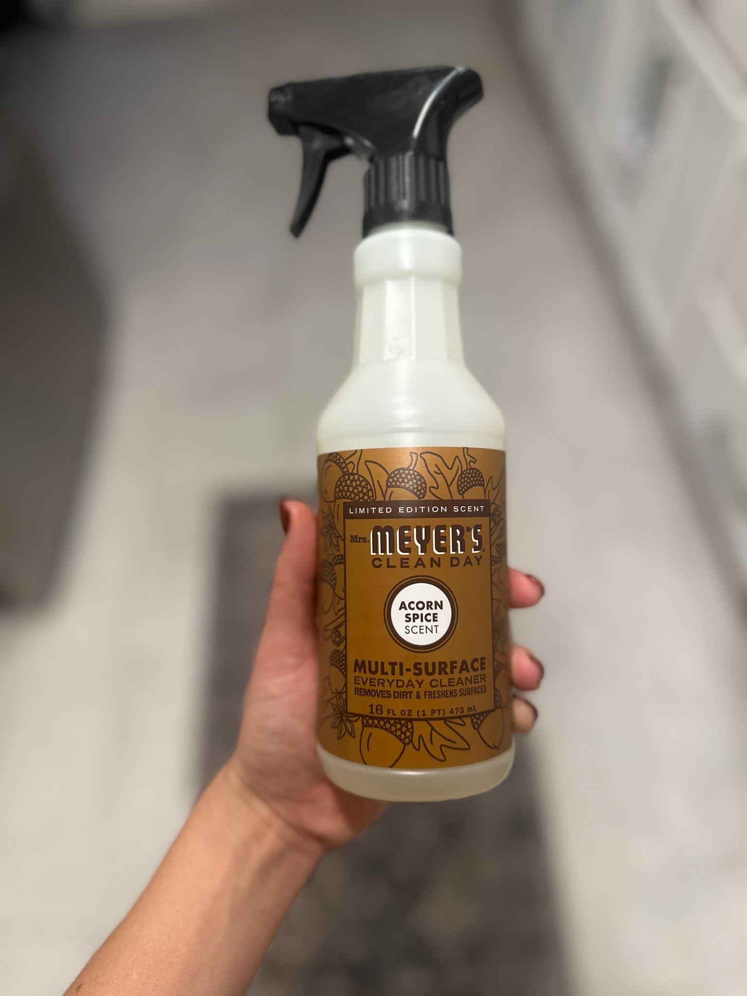 Best fall smelling cleaner 

#LTKSeasonal #LTKFamily #LTKHome