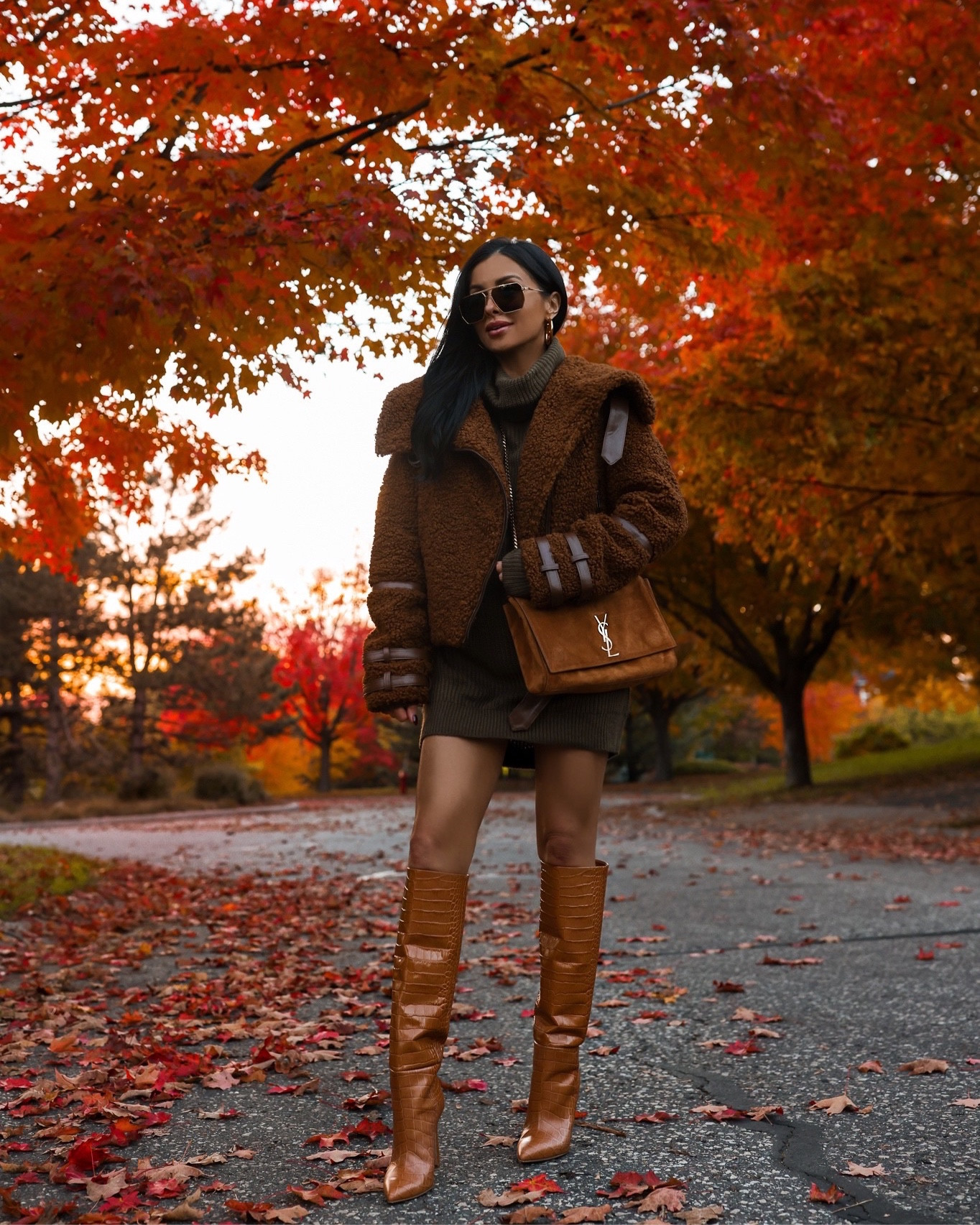Fall outfit ideas
Revolve Superdown green sweater dress wearing an XS
Revolve shearling jacket wearing an XS
Paris Texas boots run TTS
Saint Laurent kate reversible bag
Amazon earrings 


#LTKSeasonal #LTKshoecrush #LTKfindsunder100