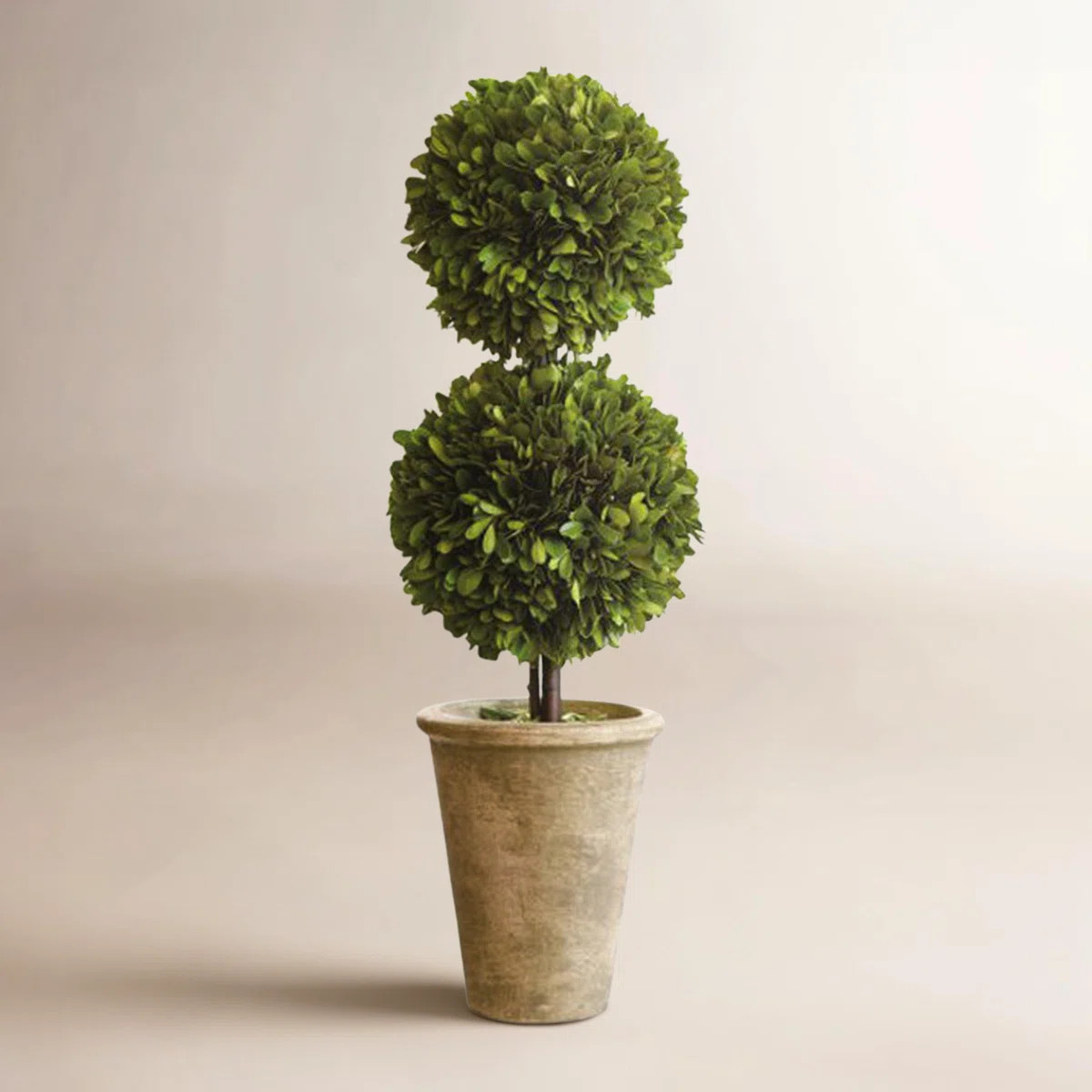 Aldin Preserved Boxwood Double Ball Topiary | Wayfair North America
