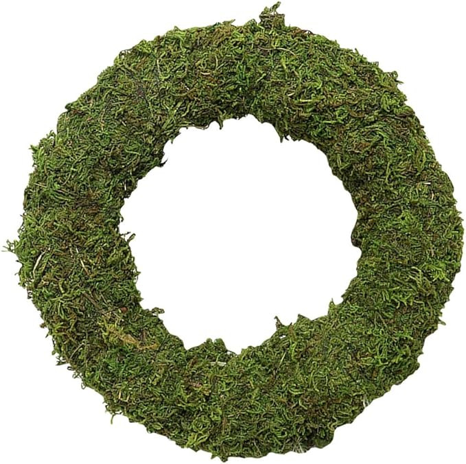 Green Wreaths for Decorating: 11 Inch Moss Artificial Wreaths for Outdoor/Indoor, Plain Christmas... | Amazon (US)