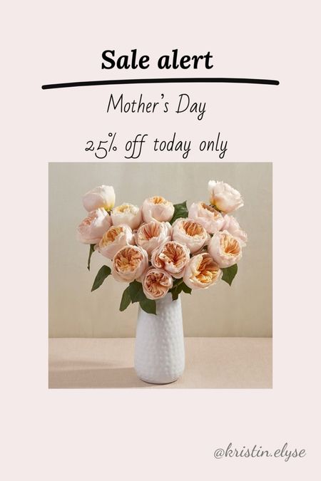 Schedule a bouquet to arrive for Mother’s Day and get 25% off today with code BOUQSDAY

#LTKfindsunder100 #LTKfamily #LTKGiftGuide