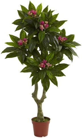 Nearly Natural 5ft. Plumeria Tree UV Resistant (Indoor/Outdoor) | Amazon (US)