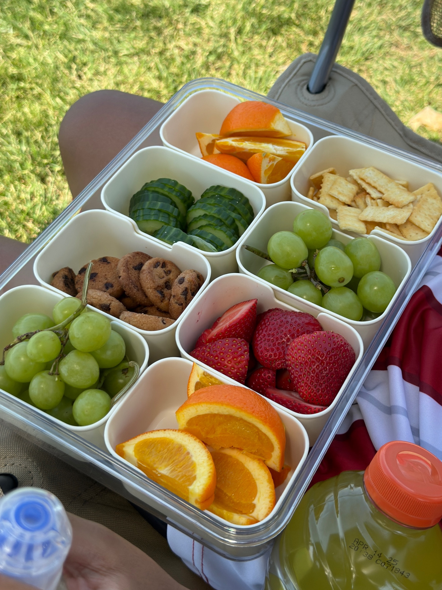 #LTKFamily #LTKTravel #LTKKids