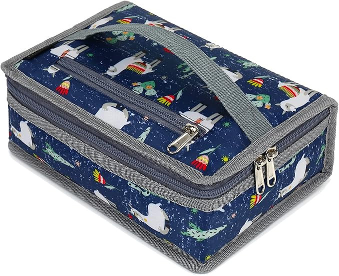 FlowFly Small Insulated Lunch box Portable Soft Bag Mini Cooler Thermal Meal Tote Kit with Handle... | Amazon (US)