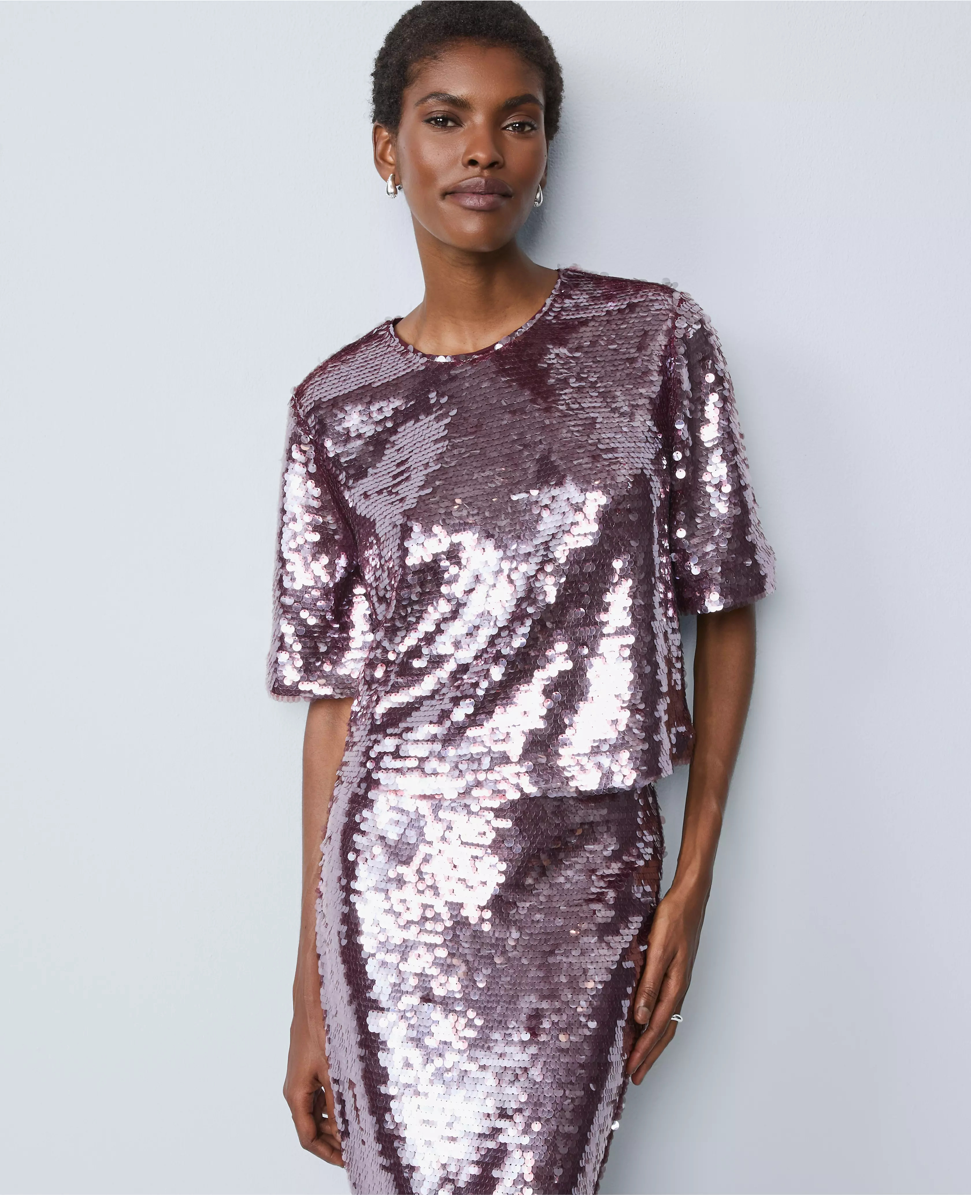 Sequin Crew Neck Blouse | Ann Taylor