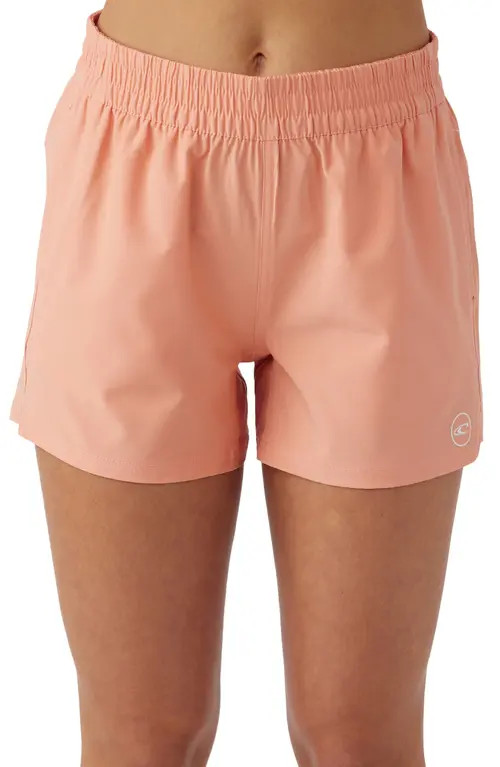 O'Neill Saltwater Solids Textured Bikini Bottoms in Fruit Punch at Nordstrom, Size Medium | Nordstrom
